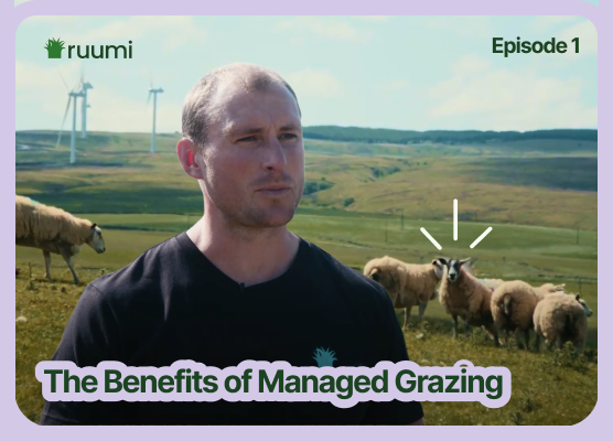 Benefits of Grazing Management