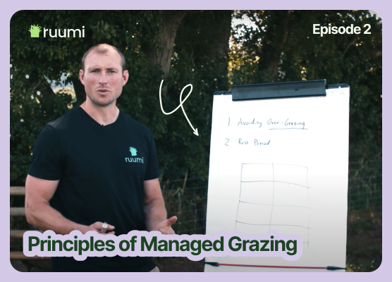 Principles of Grazing Management