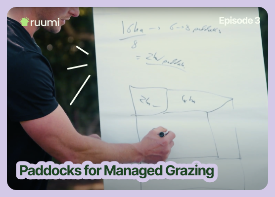 Paddocks and Grazing Systems